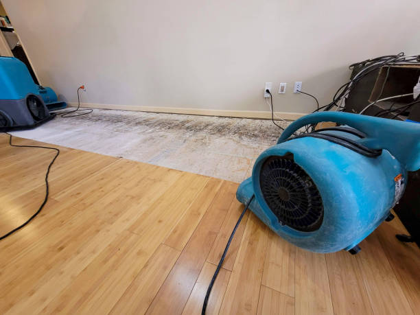 Professional Sewage Cleanup technician working in Hampton Bays, NY